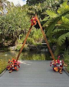Triangle Arbor